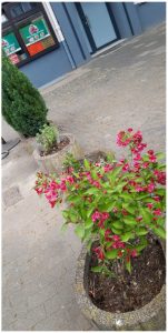 Der Mikroplatz wurde zuvor nochmal von den Nachbar:innen hergerichtet..