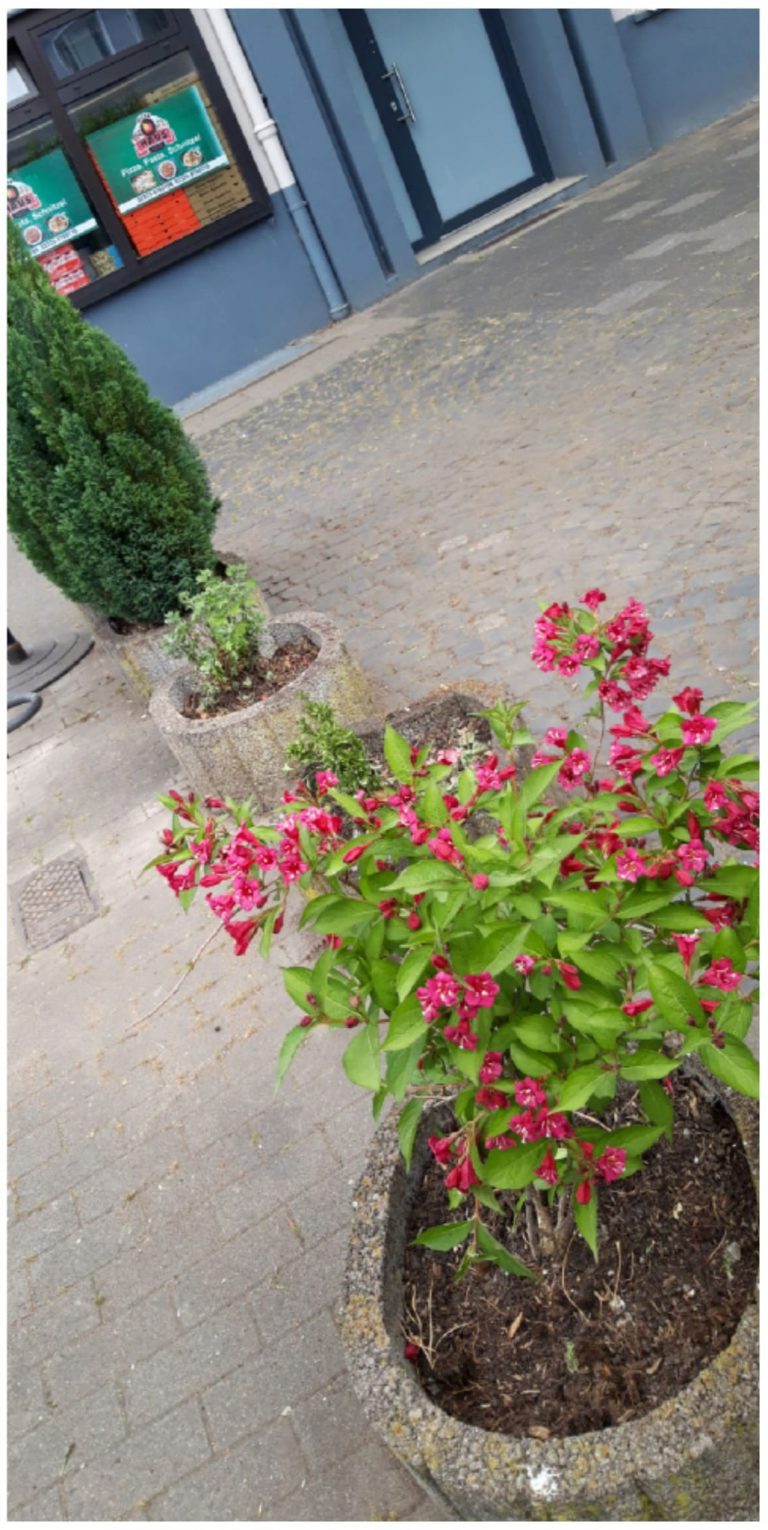 Der Mikroplatz wurde zuvor nochmal von den Nachbar:innen hergerichtet..